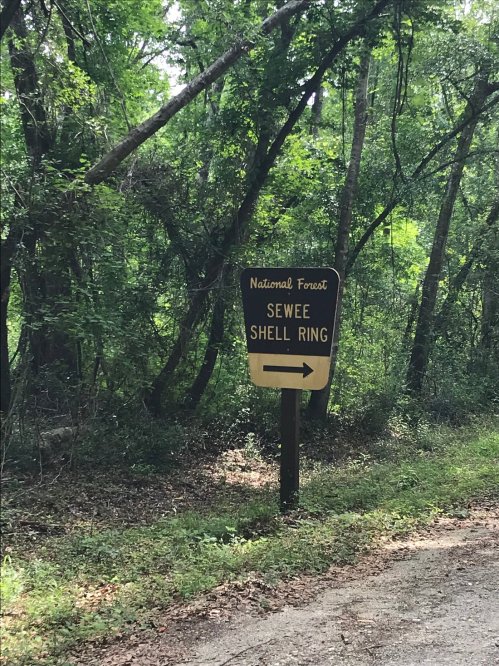 Sign for Sewee Shell Ring in a lush, green forest setting, with an arrow pointing left.
