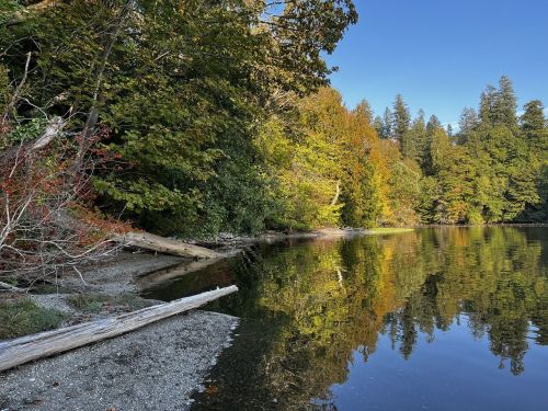 A serene lakeside scene with colorful autumn foliage reflecting in calm water under a clear blue sky.