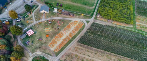 Aerial view of a pumpkin patch with colorful decorations, surrounded by fields and trees in autumn.