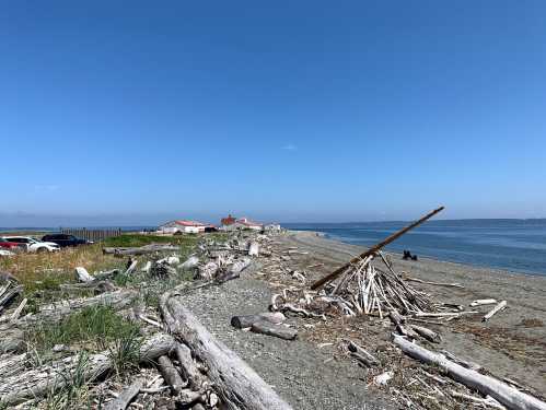 A sandy beach with driftwood, a distant building, and a clear blue sky, with a few people in the background.