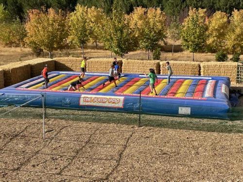 A colorful inflatable bounce pad with children playing on it, surrounded by trees and hay bales in a sunny outdoor setting.