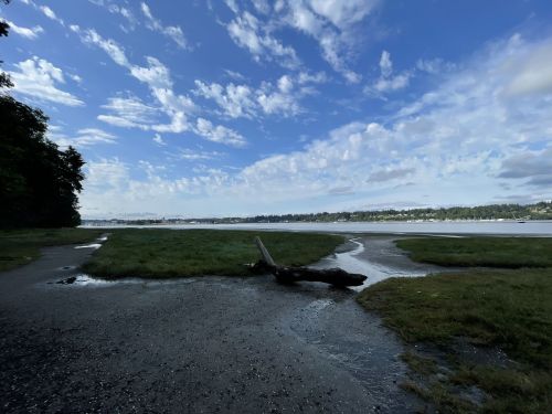 A serene landscape featuring a grassy shore, calm water, and a cloudy blue sky.