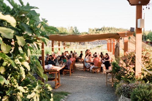 A lively outdoor dining area with people gathered around tables under a canopy, surrounded by greenery.
