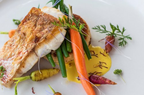 A beautifully plated dish featuring grilled fish, vibrant vegetables, and a drizzle of sauce, garnished with herbs.