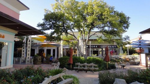 A shopping plaza with a large tree, outdoor seating, and storefronts, featuring sunny skies and greenery.