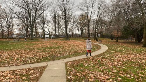 A person walks along a winding path in a park covered with fallen leaves, surrounded by bare trees.