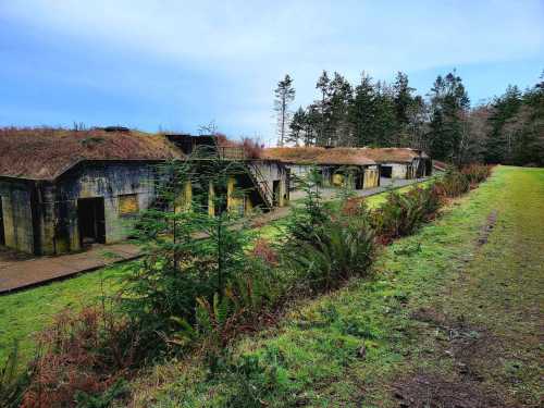 Abandoned concrete structures with grassy roofs, surrounded by trees and ferns, under a cloudy sky.