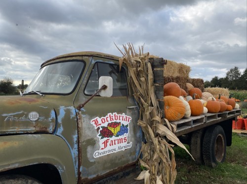 An old truck with pumpkins and hay bales parked at Lockbriar Farms under a cloudy sky.