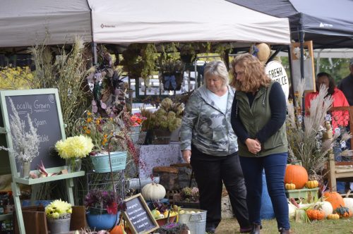Two women browse a market stall filled with flowers, pumpkins, and decorative plants under a canopy.