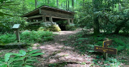 A rustic shelter surrounded by lush greenery, with a sign for Buckhorn Trail nearby.