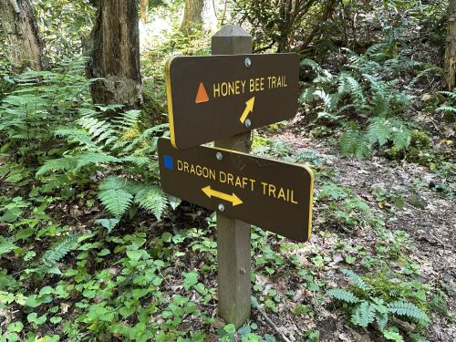 Trail signs indicating "Honey Bee Trail" and "Dragon Draft Trail" surrounded by lush greenery.
