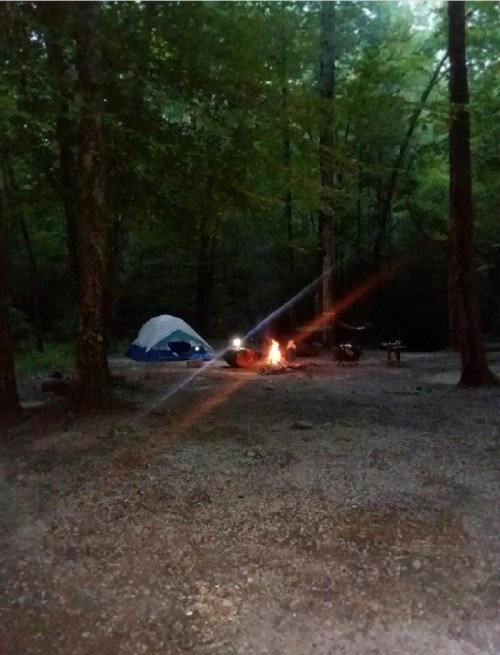 A campsite at dusk with a blue tent, a glowing campfire, and trees surrounding the area.