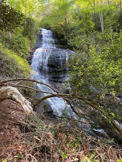 A serene waterfall cascading down rocky terrain, surrounded by lush green foliage and trees.