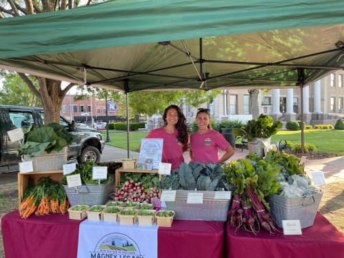 Two women stand behind a market stall filled with fresh vegetables at an outdoor farmers' market.