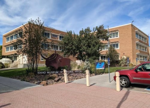 Exterior view of the Idaho Museum of Natural History, featuring a large bison sculpture and a brick building.