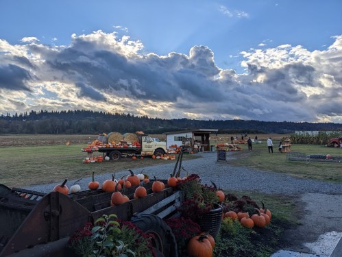 A pumpkin patch with a truck loaded with pumpkins, surrounded by fields and dramatic clouds in the sky.