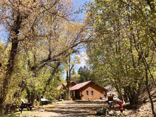 A rustic wooden cabin surrounded by trees and greenery on a sunny day, with a clear blue sky above.