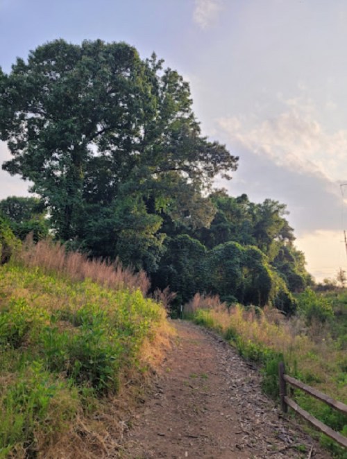 A winding dirt path through lush greenery and tall grass, bordered by a wooden fence under a cloudy sky.