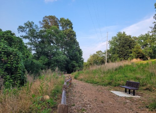 A dirt path lined with greenery leads to a bench under a clear blue sky, with power lines in the background.
