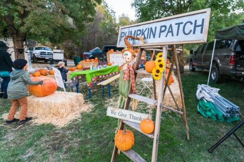 A pumpkin patch scene with a sign, pumpkins, hay bales, and children playing in a festive outdoor setting.