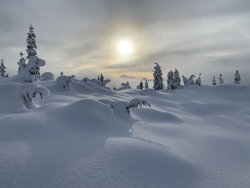 A serene winter landscape with snow-covered hills and trees under a soft, glowing sun in a cloudy sky.