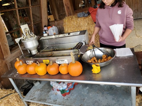 A person prepares food at a rustic stand with pumpkins and a bowl of doughnuts on a table. Hay bales are in the background.