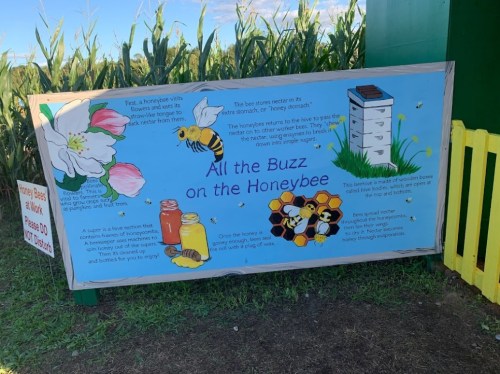 Colorful sign about honeybees, featuring illustrations of flowers, bees, honey, and informative text about their role in nature.