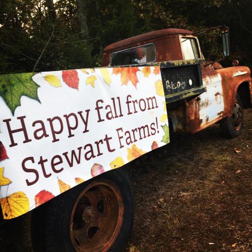 A rustic truck with a colorful fall banner reading "Happy fall from Stewart Farms!" in a rural setting.