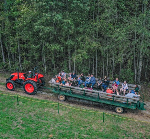 A tractor pulls a wagon filled with people, surrounded by trees in a grassy area.