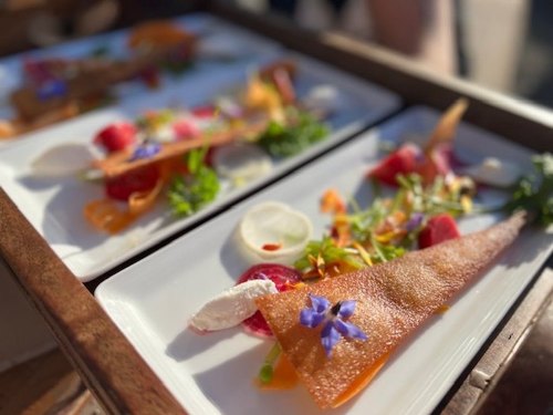 Two elegant plates of colorful gourmet food, featuring vibrant vegetables, edible flowers, and a creamy garnish.