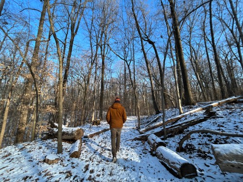 A person walks along a snowy forest path, surrounded by bare trees and fallen logs under a clear blue sky.