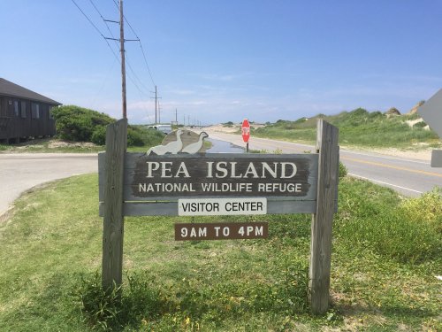 Sign for Pea Island National Wildlife Refuge, indicating the visitor center hours and location.
