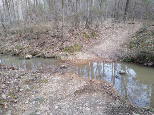 A small creek flows through a wooded area, with a dirt path diverging to the left and right.