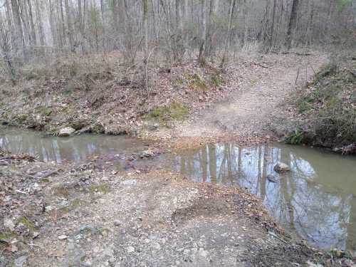 A small creek flows through a wooded area, with a dirt path diverging to the left and right.