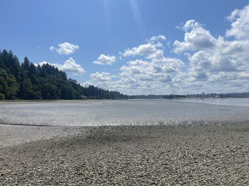 A serene landscape featuring a calm, shallow bay under a blue sky with fluffy clouds and lush green trees in the background.