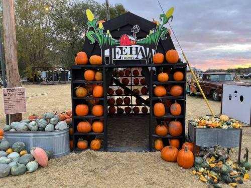 A pumpkin display at a farm with stacked pumpkins and gourds, featuring a sign that reads "Hee Haw Farms."