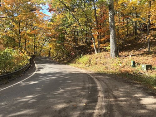 A winding road through a forest with vibrant autumn foliage and sunlight filtering through the trees.