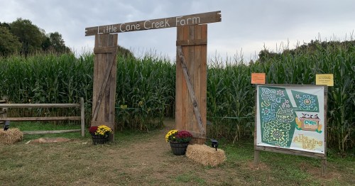 Entrance to Little Cane Creek Farm, featuring wooden gates, cornfields, and a colorful maze map sign.