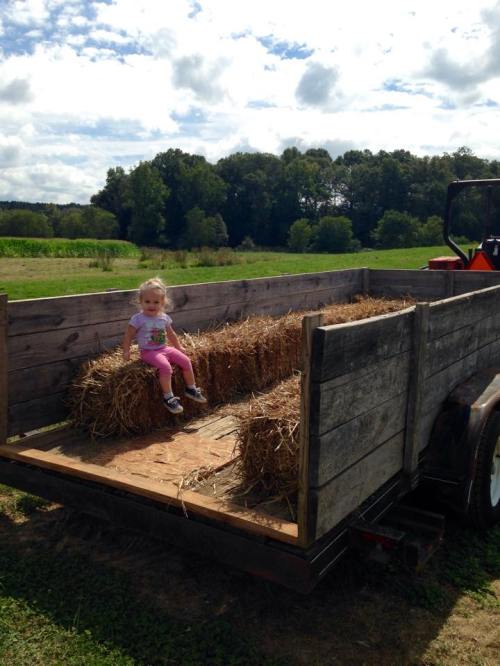 A young child sits on a hay-filled wagon in a grassy field, surrounded by trees and a blue sky.