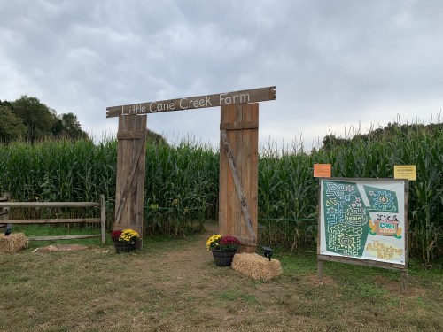 Entrance to Little Cane Creek Farm, featuring wooden gates, cornfield backdrop, and a colorful maze map sign.