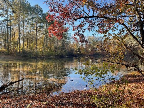 A serene lake surrounded by autumn foliage and trees, reflecting the colorful leaves and clear blue sky.