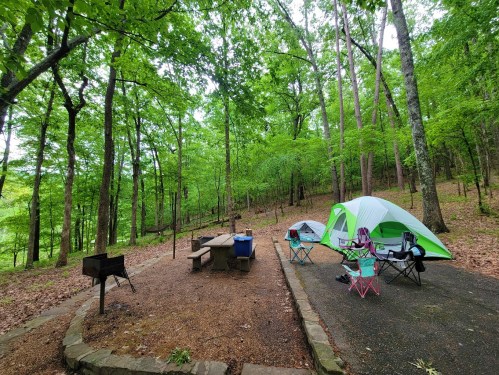 A serene camping site in a lush green forest, featuring two tents, a picnic table, and a grill.