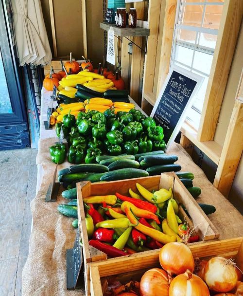 A vibrant display of fresh vegetables, including peppers, zucchini, onions, and pumpkins, arranged on a wooden table.