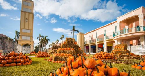 A vibrant pumpkin patch with stacked pumpkins and hay bales, set against a sunny sky and palm trees.