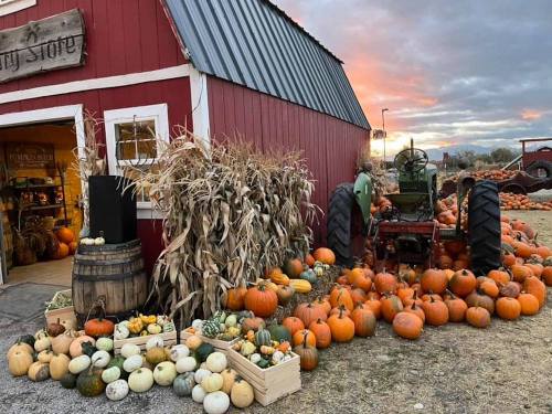 A red barn with pumpkins and gourds displayed outside, a tractor nearby, and a sunset in the background.