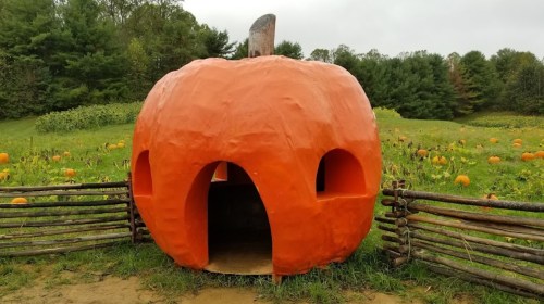 A large, orange pumpkin-shaped playhouse in a grassy field surrounded by pumpkins and a wooden fence.
