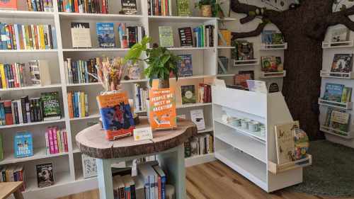 A cozy bookstore interior with colorful shelves, a wooden table featuring books, and a plant in the foreground.