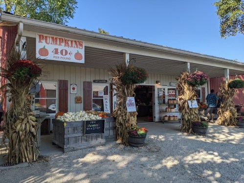 A charming farm stand with pumpkins for sale, surrounded by colorful flowers and autumn decorations.