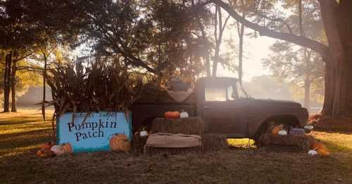 A vintage truck beside a pumpkin patch sign, surrounded by hay bales and pumpkins in a sunlit autumn setting.