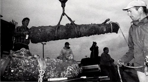 Workers lifting a large, barnacle-covered cannon from a truck, with another cannon visible nearby.